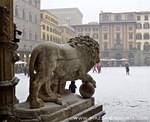 roman-medici-lion.jpg
