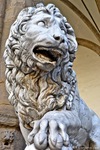 vacca-medici-lion.jpg